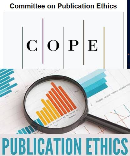 publication placeholder